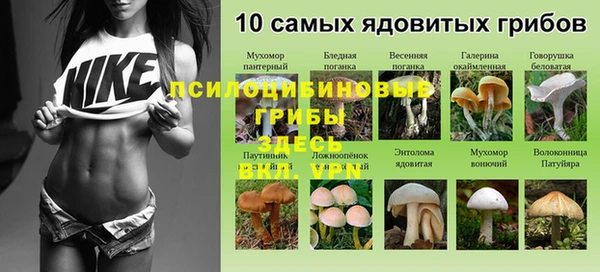 мдпв Новодвинск
