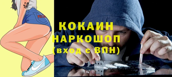 мдпв Новодвинск